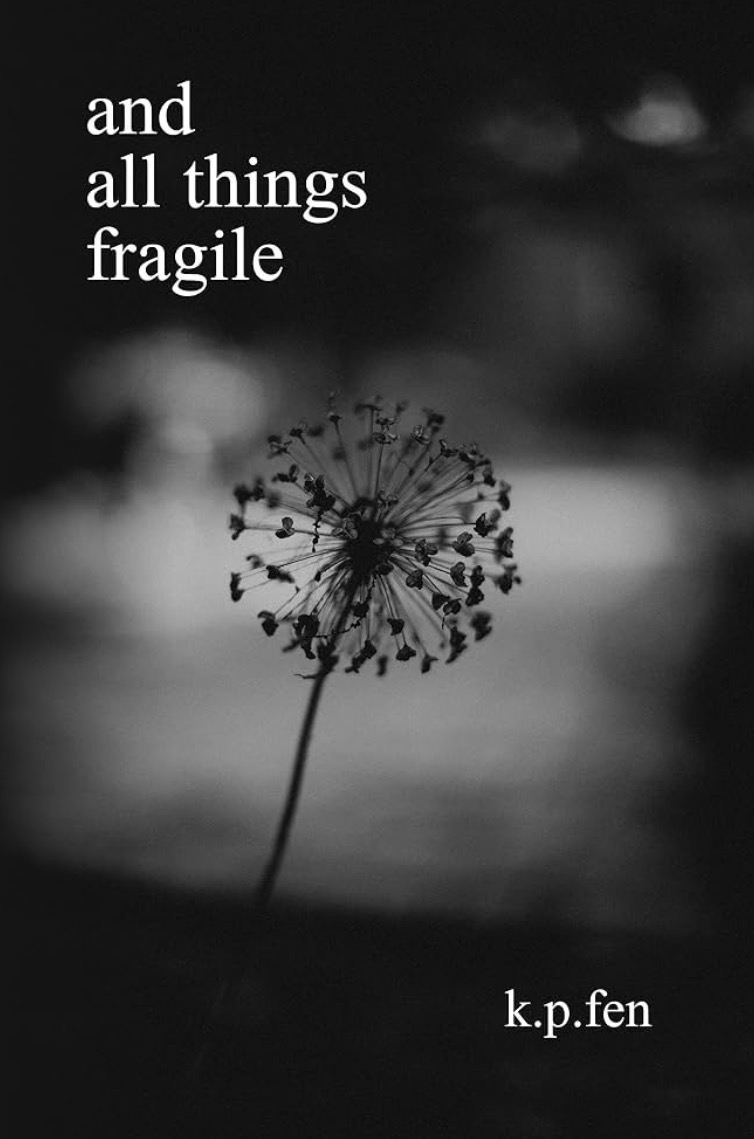Cover of 'and all things fragile'